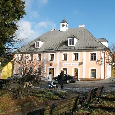 Apartamento U Muzea *