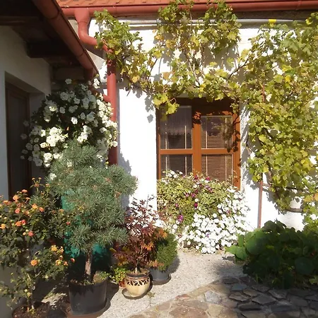 U Muzea Apartament