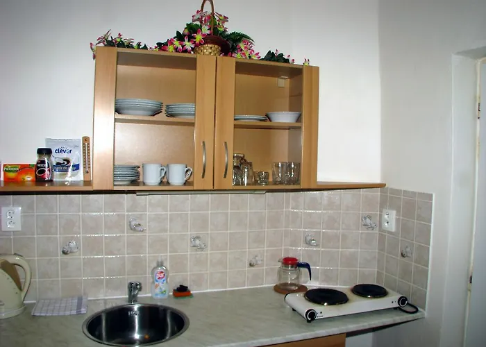 Apartamento U Muzea *