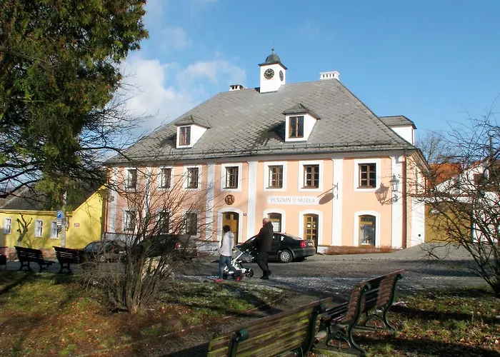 Apartamento U Muzea *